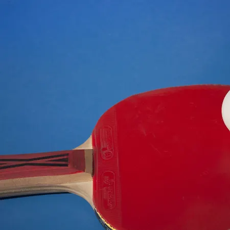 Remisens Albatros קאבטאט