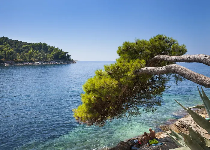 Remisens Albatros 4* Cavtat