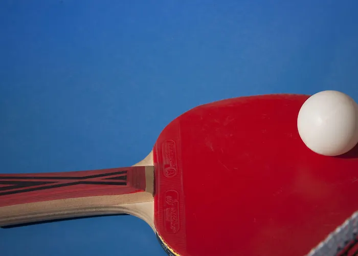 Remisens Albatros Cavtat